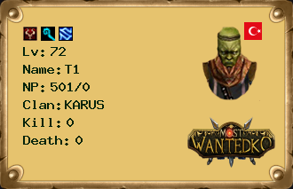 T1                   